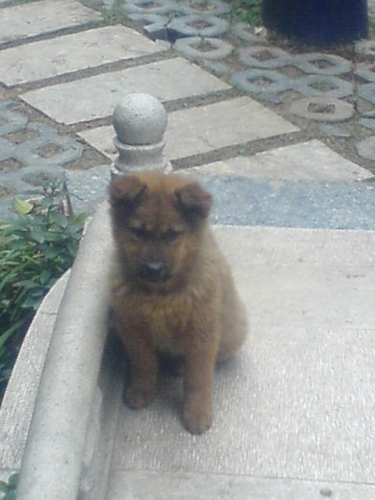 ���˵Ҫ�ٸ�������,���Ҹ�Ư���羰��