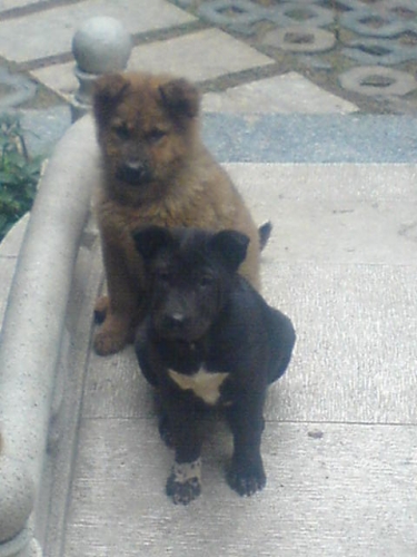 ϸB���ڴ�Bǰ����������.