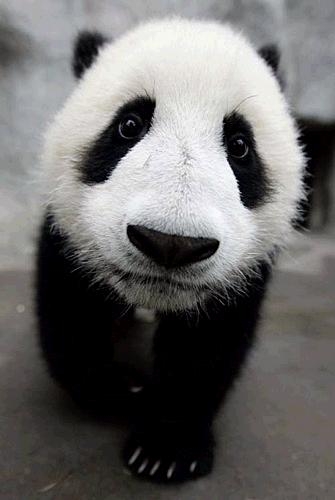 ��Ҳ���մ�ͷ��