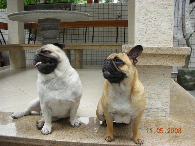 ����һ���POSS